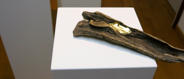 INCURSIONI
opere di Michela Sbuelz